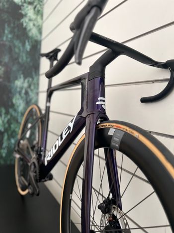 Used Ridley Noah Fast 3.0 - Shimano Ultegra DI2 2x12sp 2026 2026 Road & Gravel, Black — image 5 of 5