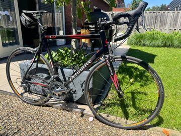 Gitane Definitive Dream On 2011 Road & Gravel usato