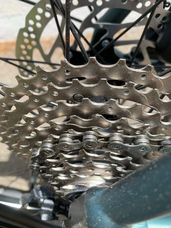 Used Stevens Custom Shimano GRX 2025 Road & Gravel, Green — image 7 of 9