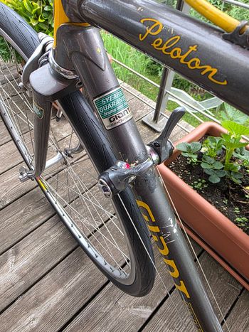 Brugt Giant Peloton Shimano 105 1993 Road & Gravel — billede 3 af 6
