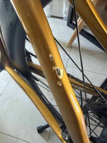 Gebrauchtes Pinarello Dogma F12 Disk Frameset 2019 Frameset 2019 Road & Gravel, Weiß — Bild 10 von 12