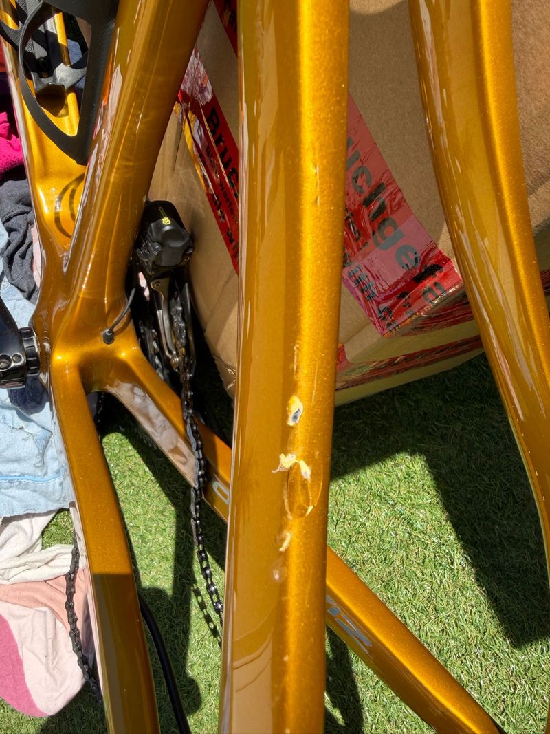 Used Pinarello Dogma F12 Disk Frameset 2019 Frameset 2019 Road & Gravel, White — image 8 of 9