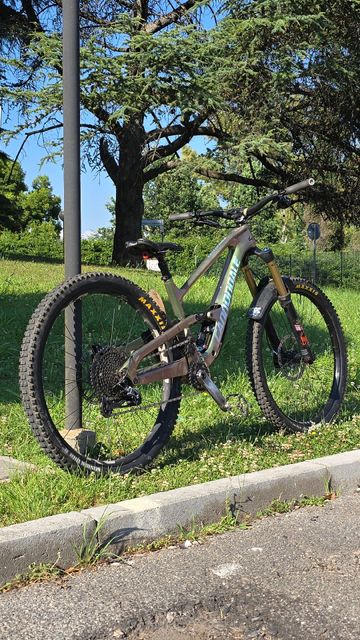 Used Cannondale Jekyll 1 2024 2024 Mountainbike, Green, 29 — image 1 of 6