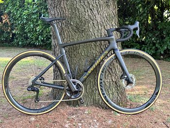 Gebrauchtes Specialized Tarmac Shimano Ultegra Di2 2023 Road & Gravel