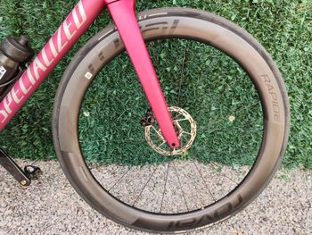 Używany Specialized Tarmac SL8 Pro - SRAM Force eTAP AXS 2025 2025 Road & Gravel — zdjęcie 4 z 18