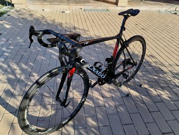 Used Colnago Custom Campagnolo Super Record 2019 Road & Gravel, Black — image 2 of 5