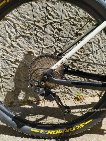 Gebrauchtes WILIER 101X X12 Black Green Limited Edition Custom Shimano Deore XT 2020 Mountainbike, Schwarz — Bild 3 von 8