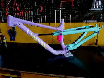 Tweedehands Canyon Torque 29 AL 5 2023 Frameset 2023 Mountainbike — afbeelding 2 van 6