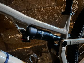 Used Commencal T.E.M.P.O. Frame 2023 Frameset 2023 Mountainbike, White, 29 — image 5 of 5