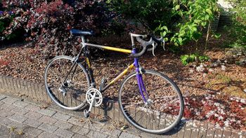 Gebrauchtes Giant cadex 2 Custom Shimano 105 1990 Road & Gravel, Blau — Bild 12 von 13
