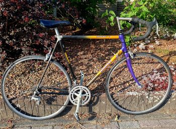 Gebrauchtes Giant cadex 2 Custom Shimano 105 1990 Road & Gravel