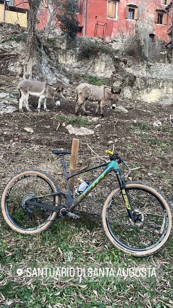 Używany Scott Spark RC World Cup EVO AXS 2022 2022 Mountainbike — zdjęcie 4 z 6