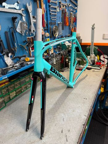 Used Bianchi Impulso 2020. Frameset 2020 Road & Gravel, Blue — image 6 of 12