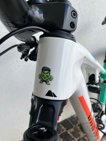 Canyon Lux World Cup Frameset 2023 Mountainbike de segunda mano, Blanco — imagen 9 de 9