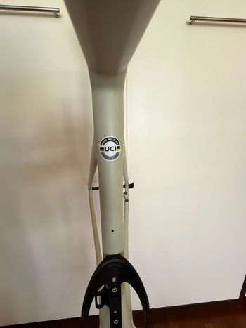 Rose Reveal 04 Ultegra Di2 2024 Frameset 2024 Road & Gravel d'occasion — image 5 sur 10