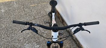Gebrauchtes Canyon Spectral CF LTD 2024 2024 Mountainbike, Weiß, 29, 27.5 — Bild 7 von 16
