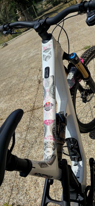 Tweedehands Canyon Spectral CF LTD 2024 2024 Mountainbike — afbeelding 4 van 16
