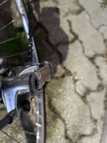 Used Colnago Custom Campagnolo Record 1976 Road & Gravel, Black — image 21 of 22