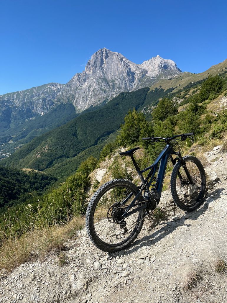 Gebrauchtes Specialized Turbo Levo 2020 2020 Mountainbike, Blau, 29 — Bild 2 von 3