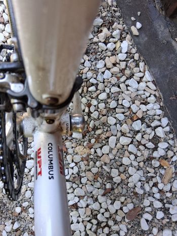 Used SCAPIN Custom Campagnolo Chorus 2006 Road & Gravel, White — image 10 of 13