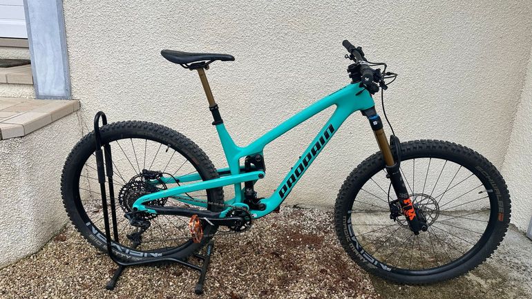 Propain Tyee CF 29 Highend 2023 2023 Mountainbike d'occasion — image 1 sur 7
