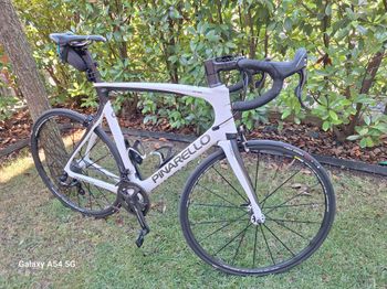 Brugt Pinarello Gan S 2016 2016 Road & Gravel — billede 2 af 16