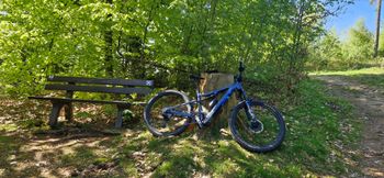 Used Focus JAM² 6.8 2023 2023 Mountainbike, Blue — image 2 of 6
