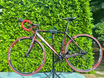 Used Olmo Custom Campagnolo Xenon 2016 Road & Gravel