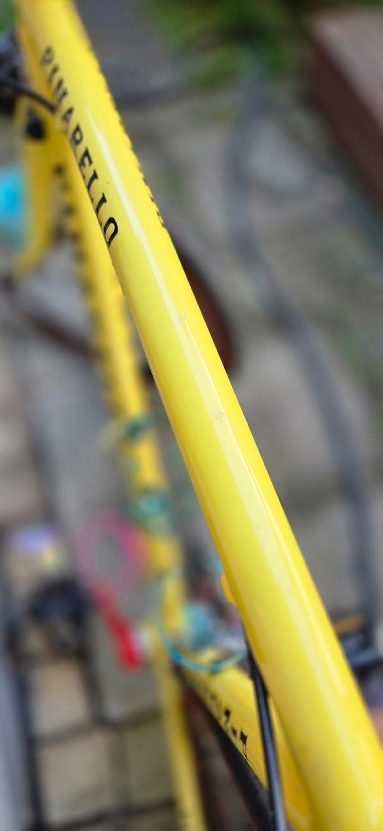 Used Pinarello Custom Campagnolo Record 2024 Road & Gravel, Orange — image 15 of 15