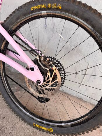 Used Forbidden Druid Sram Eagle Transmission X0 2024 Mountainbike, Purple — image 11 of 15