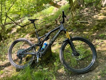 Used Specialized S-Works Stumpjumper EVO 2023 2023 Mountainbike, Black, 29 — image 3 of 3
