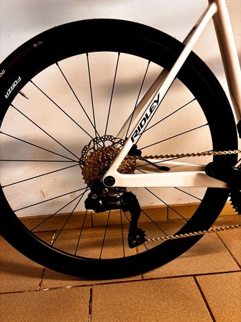 Used Ridley Falcn - Shimano 105 - 2x12 2026 2026 Road & Gravel, White — image 5 of 13