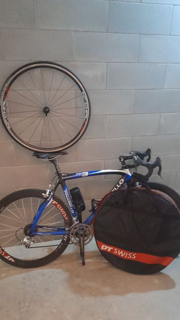 Pinarello Vendo Pinarello Fp3 In Carbonio Manubrio Zipp Ruote Profilo Alto Dt Swiss Cambio Campagnolo Centaur Vendo Con Coppi Ruotevallenamento Taglia 57/54 2019 Road & Gravel d'occasion — image 2 sur 3