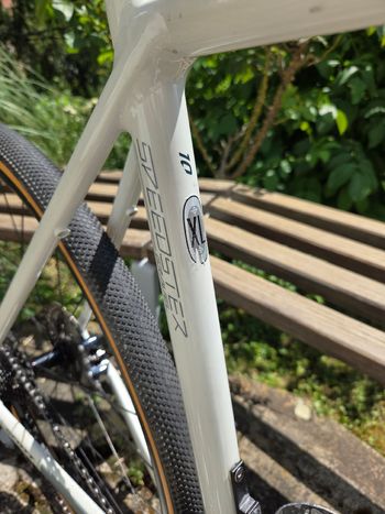Scott Speedster Gravel 10 2019 2019 Road & Gravel d'occasion — image 5 sur 20
