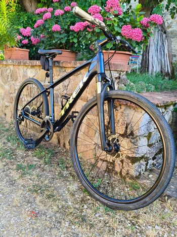 Używany Trek Dual Sport 1 2021 2021 Urban — zdjęcie 5 z 5