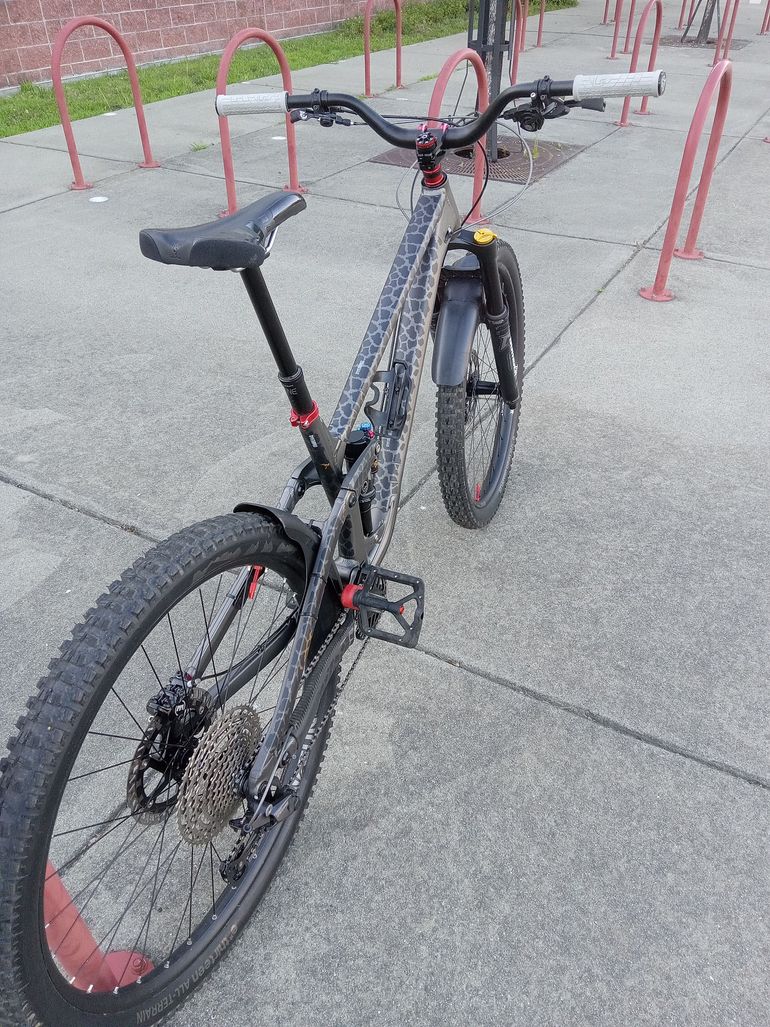 Used Transition Sentinel Alloy Frameset 2022 2022 Mountainbike, Light Gray, 29 — image 3 of 8