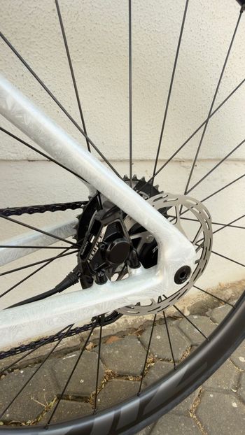 Used Megamo PULSE 04 SLR 2026 2026 Road & Gravel, White — image 13 of 14