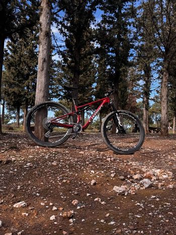 Używany S Works Custom Frameset 2026 MTB
