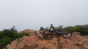 Gebrauchtes Canyon Strive:ON CFR Underdog 2025 2025 Mountainbike, Schwarz, 29, 27.5 — Bild 6 von 6