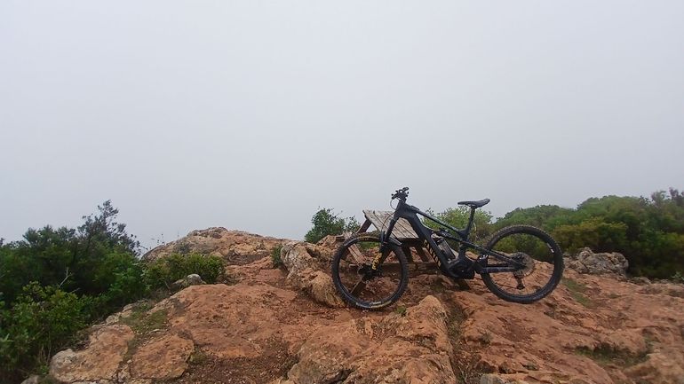 Brugt Canyon Strive:ON CFR Underdog 2025 2025 Mountainbike — billede 6 af 6