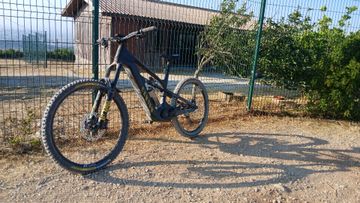 Gebrauchtes Canyon Strive:ON CFR Underdog 2025 2025 Mountainbike, Schwarz, 29, 27.5 — Bild 2 von 6