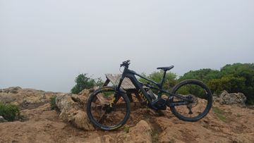 Gebrauchtes Canyon Strive:ON CFR Underdog 2025 2025 Mountainbike, Schwarz, 29, 27.5 — Bild 5 von 6