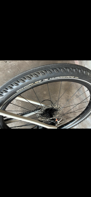 Used Rose Bonero Plus 1 2025 2025 Mountainbike, Light Gray, 29 — image 3 of 3