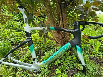 Używany Pinarello DOGMA F DURA ACE Di2 Disc 2024 Frameset 2024 Road & Gravel — zdjęcie 10 z 13