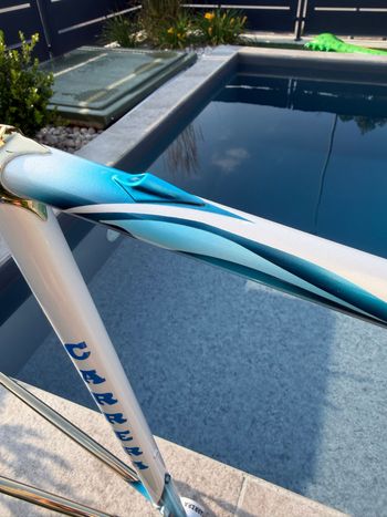 Używany Carrera Custom Frameset 1995 Road & Gravel — zdjęcie 8 z 12