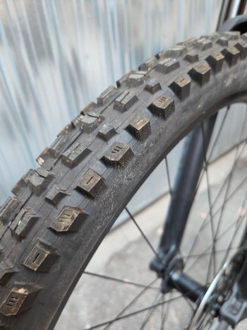 Used SCOR 4060 ST NX 2023 2023 Mountainbike, Blue, 29 — image 2 of 16