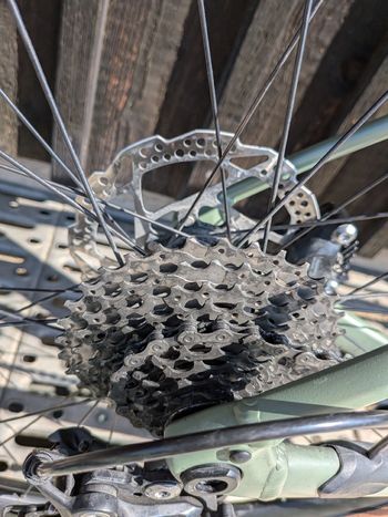 Used Orbea TERRA H40 2024 2024 Road & Gravel, Green — image 3 of 8