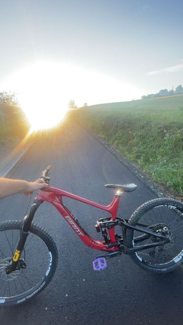 Brugt Giant Reign Advanced 1 2024 2024 MTB