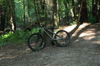 Used Dartmoor Two6Player EVO 2021 2021 Mountainbike, Light Gray — image 4 of 8