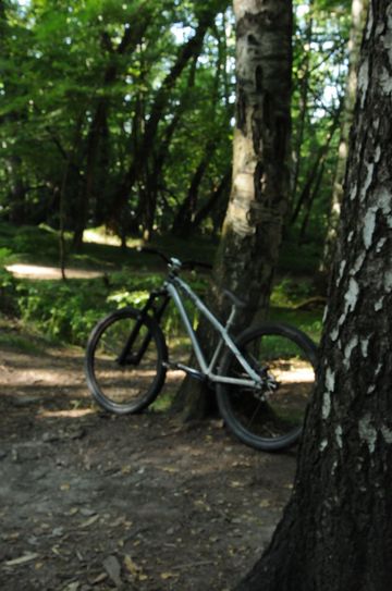 Used Dartmoor Two6player Single Speed / Fixed Gear 2021 Mountainbike, Light Gray — image 8 of 8